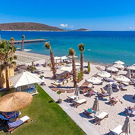 فندق Alacati Beach Resort ألاتشاتي